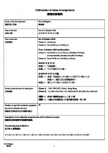 曉柏峰 銷售安排16 20241011.pdf