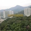 Shatin GREAT HILL BLK 02