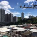 沙田 