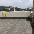 沙田 悅安樓