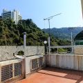 大埔 樟樹灘村