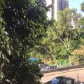 Shatin Siu Lek Yuen East