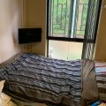 Tai Po VILLA CASTELL PH 01 BLK 41