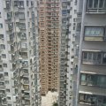 沙田 金狮花园 第01期 B座 金丽阁