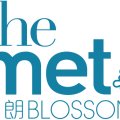 Ma On Shan THE MET. BLOSSOM TWR 02