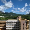 粉嶺 祥華村 祥景樓