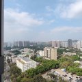 粉岭 粉岭名都 富临阁 第06座