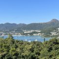 西貢 早禾居 柏文