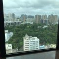 油麻地 窩打老道8號