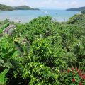 西貢 SAI KUNG