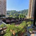 沙田 新城市廣場 銀樺閣****全新裝修,內園清靜,可即時交吉,家庭客優先****