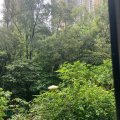 馬鞍山 富寶花園 第11座