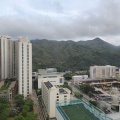 沙田 欣廷軒