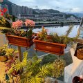 沙田 碧涛花园