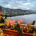 沙田 碧涛花园