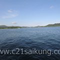 西贡 泰湖阁