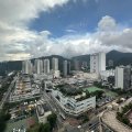 沙田 欣廷軒