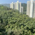沙田 翠景花園