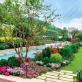 西贡 逸珑海滙  特色户连 336呎花园