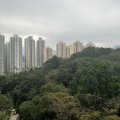 沙田 富豪花园
