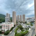 馬鞍山 新港城 G座