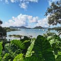 Sai Kung TAI MONG TSAI ROAD