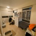 Shatin CITY ONE SHATIN SITE 01 BLK 12