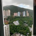 Shatin YUK WO COURT