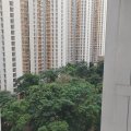 Shatin YU CHUI COURT PH 01 BLK S (HOS)