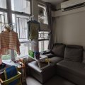 Shatin YU CHUI COURT PH 01 BLK S (HOS)