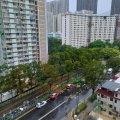 Shatin GREENVIEW GDN