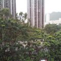 Shatin CITY ONE SHATIN SITE 02