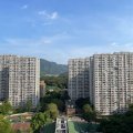 粉岭 祥华村 祥礼楼