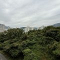 Shatin THE GREAT HILL