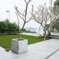清水灣 相思灣