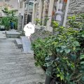粉嶺 塘坑
