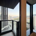 沙田 柏傲莊 II