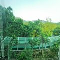 粉岭 牵晴间 第07座