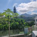 西貢 白石台