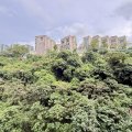 沙田 荟荞 1翼