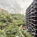 沙田 荟荞 1翼