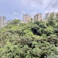 沙田 荟荞 1翼