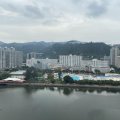 沙田 河畔花园 F座