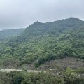 沙田 名家匯