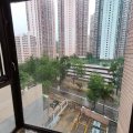粉岭 碧湖花园 第08座