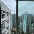 粉岭 欣盛苑 A座 欣秀阁