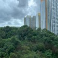 粉嶺 山麗苑 F座 橋山閣