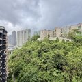沙田 薈蕎 2翼