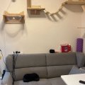 Shatin CITY ONE SHATIN SITE 05 BLK 48