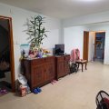 沙田 沙田村屋